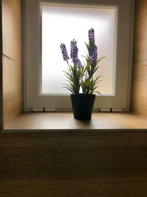 A&C Cozy Apartment Elvas Dış mekan fotoğraf